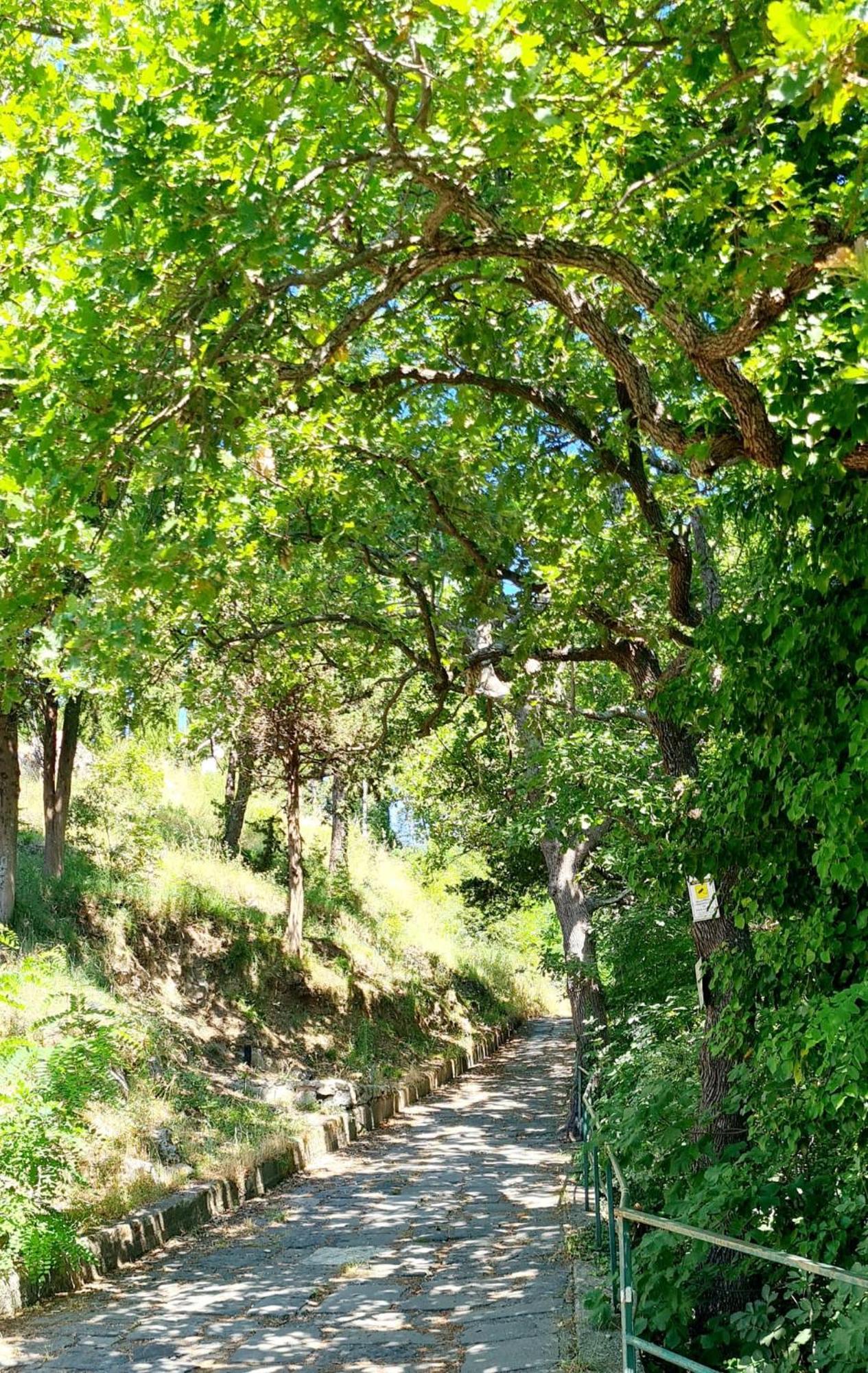 Villa Blu Costiera Amalfi Buitenkant foto